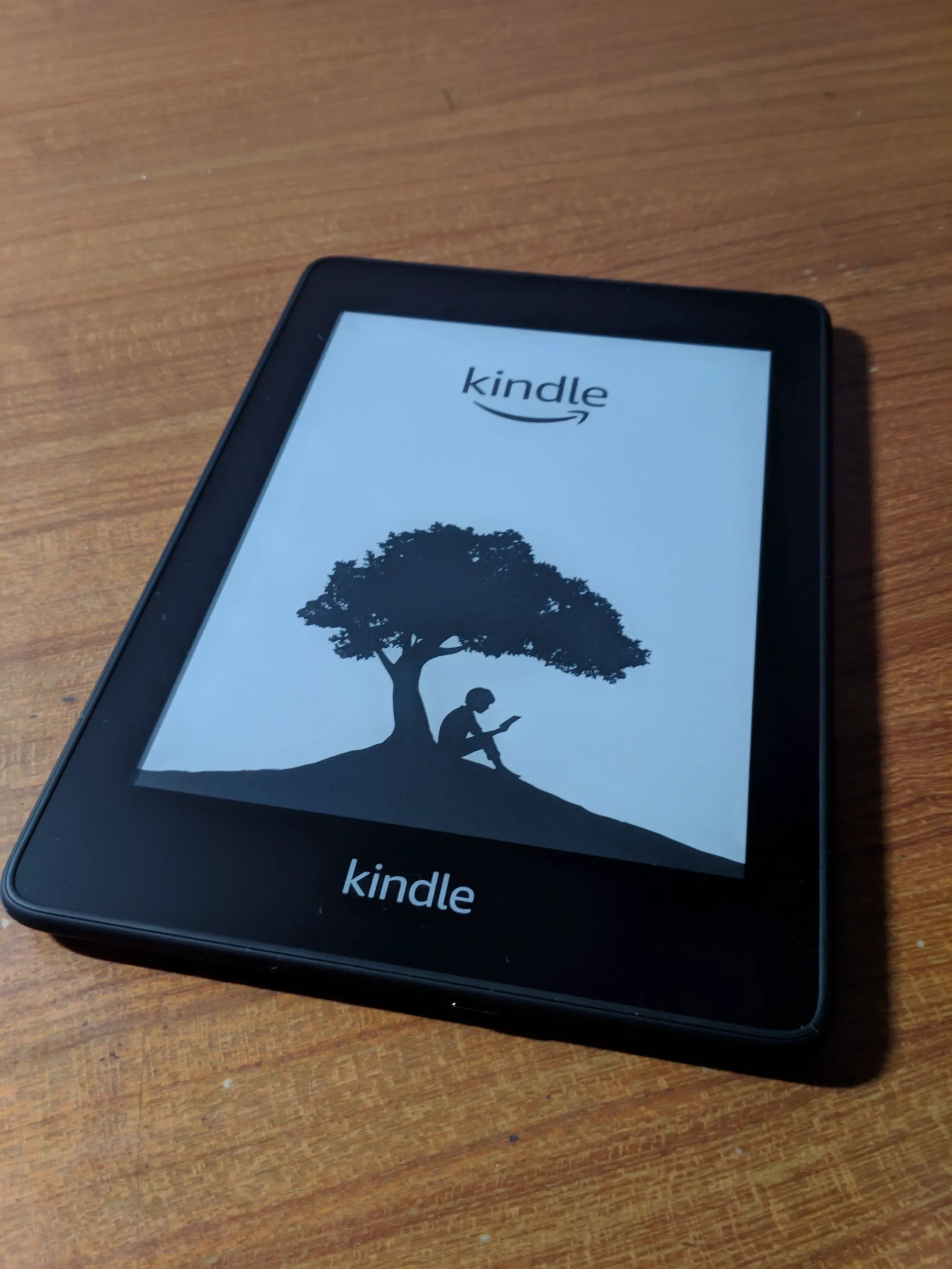 开机界面,经典的一棵树下坐着一个小孩手里拿着 Kindle 看书的 Logo