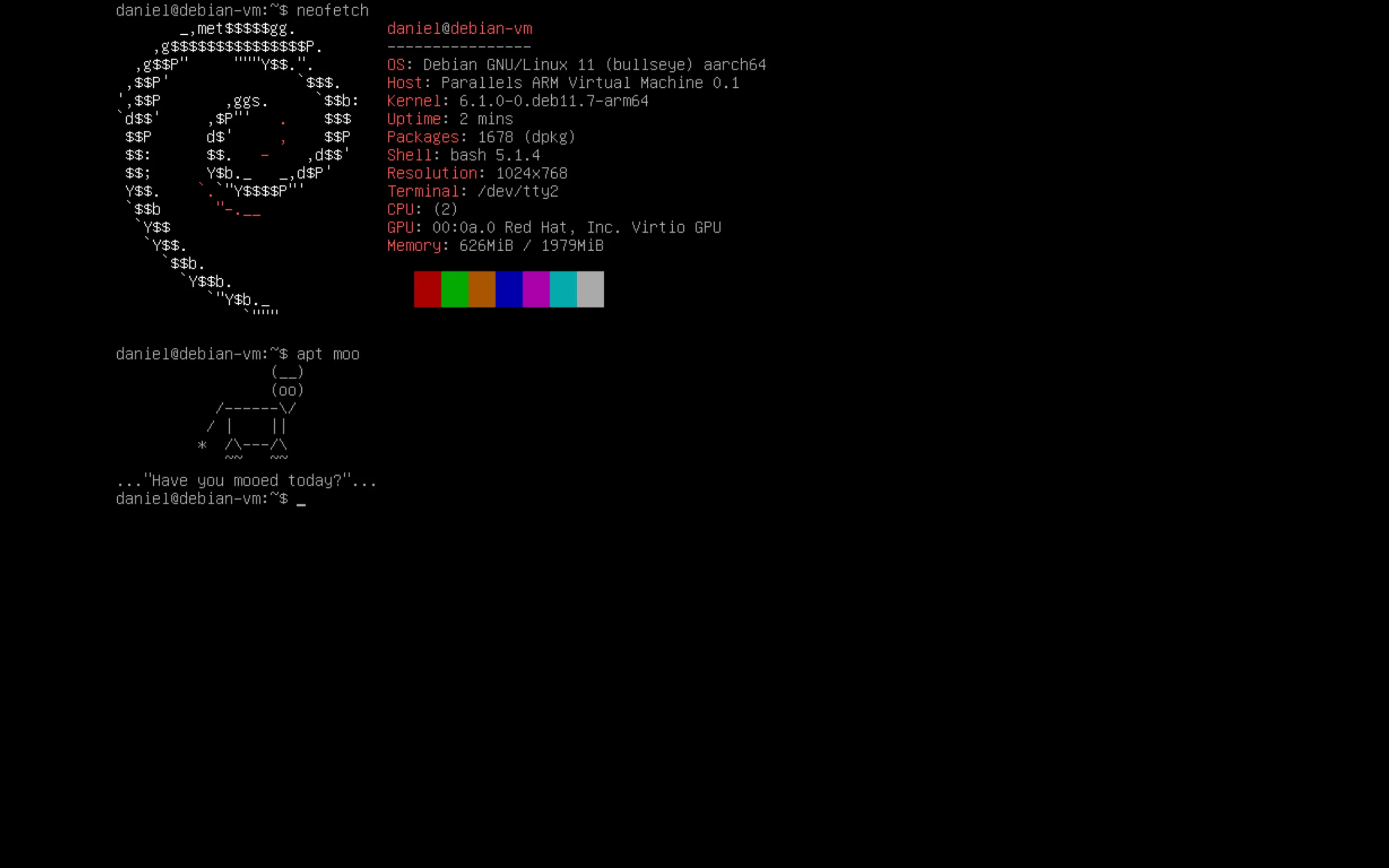 纯命令行界面 TTY 的屏幕截图